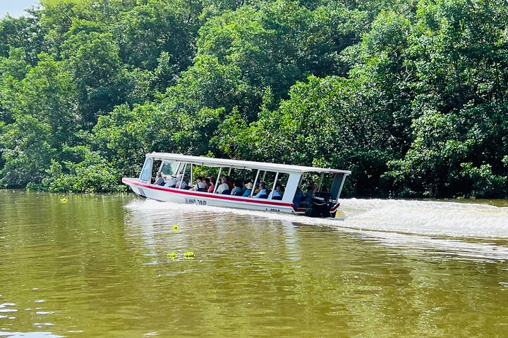 Half day Tortuguero Canal, Cahuita National Park & Puerto Limon - Photo 1 of 13